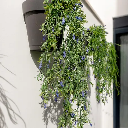 Casa Blanca Tenerife Appartement *